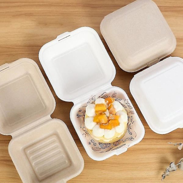10-20st Engångs Bento Matbehållare Dessert Skål