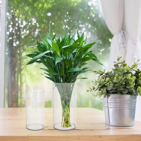 2-pack vasdekor blomvas cylindrisk PET-material modern enkel elegant stil heminredning