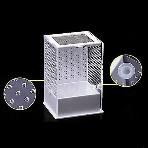 Transparent Reptil Uppfödningslåda Akryl Tank Terrarium Full Vy