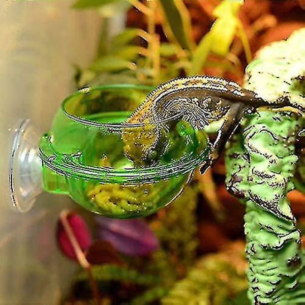 Sugerkop-Reptilfoder, Orm Levende Foderbeholder, Reptilfoder (2 stk.)