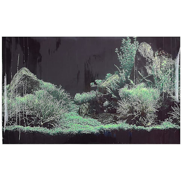 Koralkorals Akvarium Baggrundsplakat Fiskedam Dekoration 61x41cm