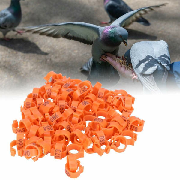 100 st fågelfotringar nummeridentifiering duva benband fjäderfäklämma ringorange