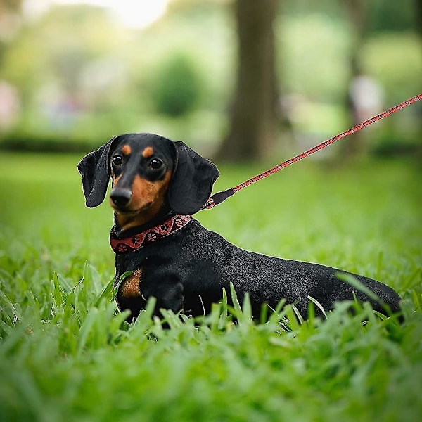 Hundleksak 1,5 m Stark Hundkoppel med Högreflekterande Trådar, 360 Tangle-free Och Bekväm Vadderad