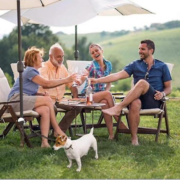 Händerfria Retractable Hundkoppel, Utökbar Valp Springande Koppel Hund(blå)