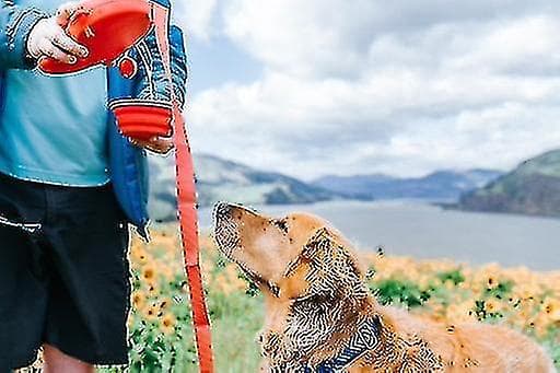 Automatisk hundkoppelkit 4 i 1