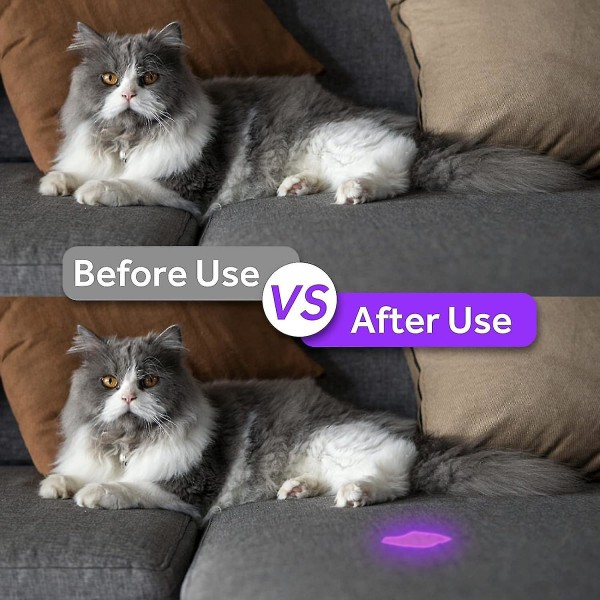 UV sort lys med 100 LED'er, ultraviolet håndlampe, kæledyrsdetektorer til falske pengesedler, hunde, tæpper