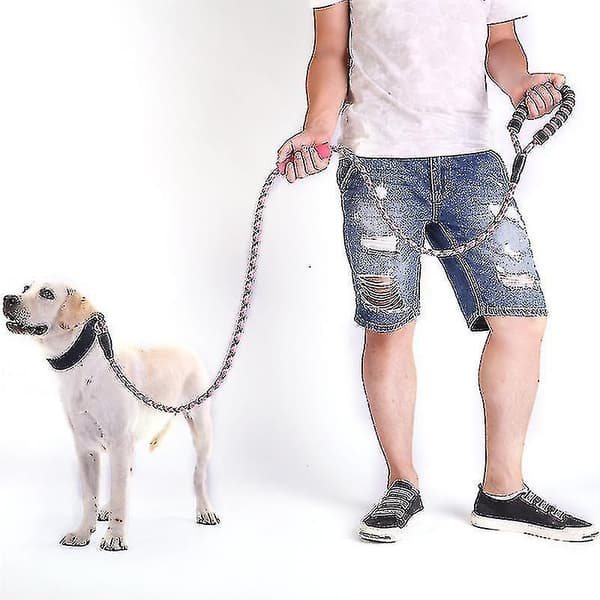 Reflekterande nylon hundkoppel med dubbla vadderade handtag - Rosa