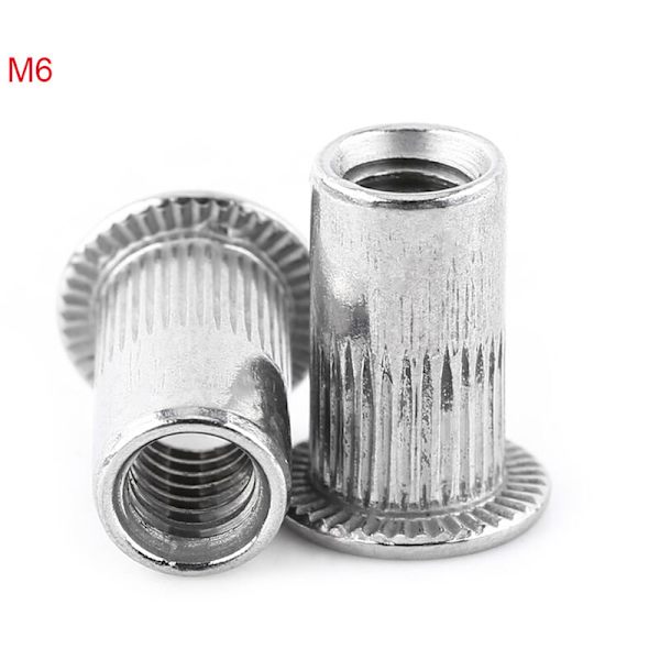M3-M8 Pan Head gängad blindnitmutter insatsmutter insatsskruv rostfritt stål (M6)