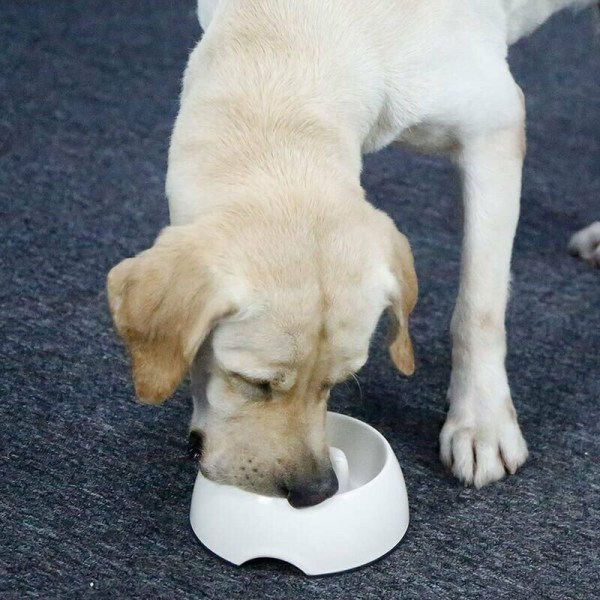 Långsam matande hundskål Melamin Anti-Svala Långsam matskål BPA-fri rolig interaktiv hundskål