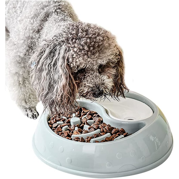 Långsam matare hundskål Kul för hundar Långsam ätande hundskål Interaktiv uppblåst stopp hundskål halkfri hälsosam design hundskål medium