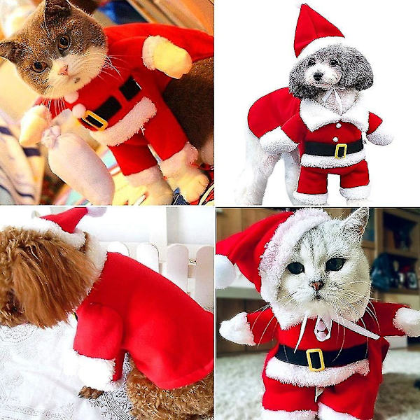 Jultomte hund och katt kostym, jul husdjurskläder, jul husdjurskläder med tomteluva（S）