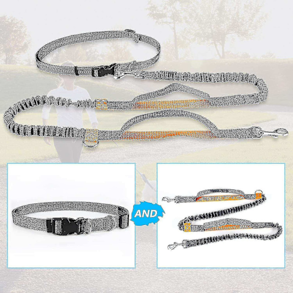 Evago håndfri hundeline, justerbar elastisk joggingline