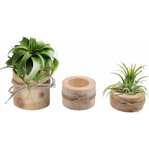 Träluftsväxthållare Träluftsväxthållare 3 Träluftsväxthållare Terrariumhållare Tealight-hållare för suckulenter