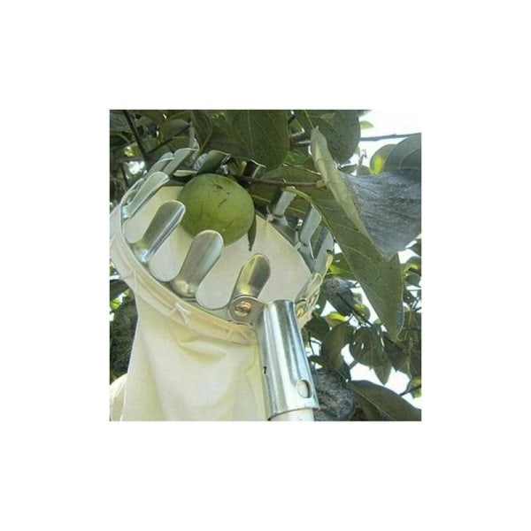 GRYMT skörderedskap Fruktplockare Metall Teleskopisk stamlös fruktplockare Äppelplockare Fruktplockare Fruktplockare 160 mm
