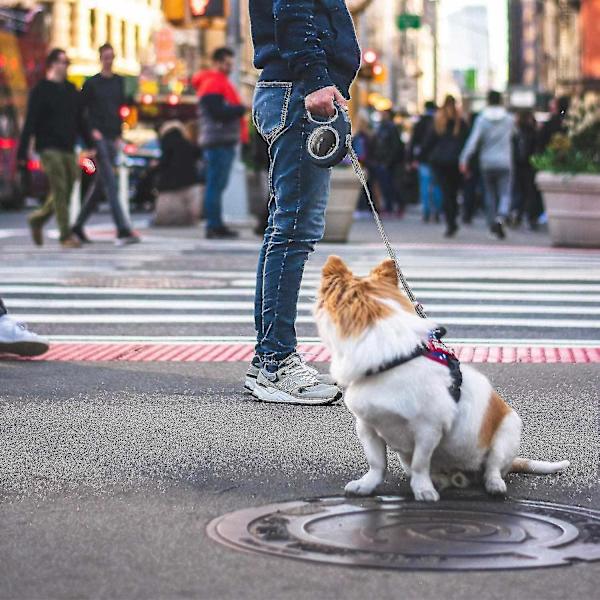 Inntrekkbar hundekobbel 8m, hundekobbel for små mellomstore større hunder opptil 49,8 kg, en knapp