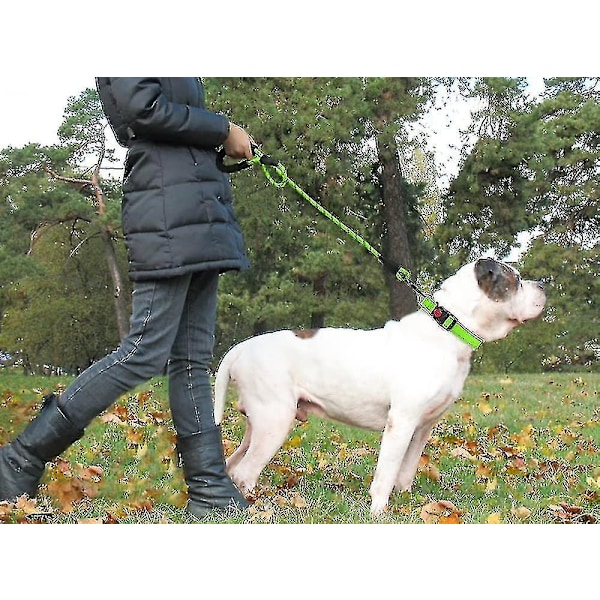 Chien Corde, Laisse Pour Chien En Nylon Avec Poigne Rembourre Douce Et Des Fils Rflchissants, 150cm