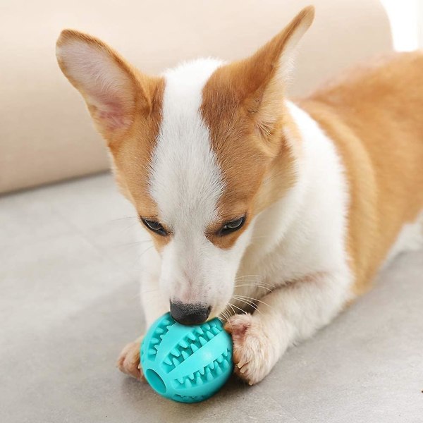 Hund leksak bollar hund gummi tugga boll rengör tänder giftfri bitresistent leksak interaktiv iq pussel träningsleksak boll för små medelstora hundar