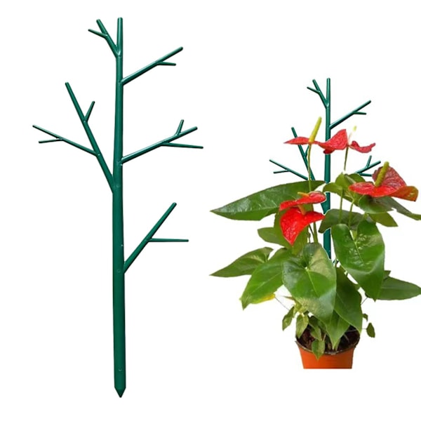 Växtstöd Pinne Växtstöd Pinne Multifunktionell, Kvistspaljé, Krukväxter Spaljé för Inomhusväxter Vinstockar（38.5cmx13.5cm，Grön）