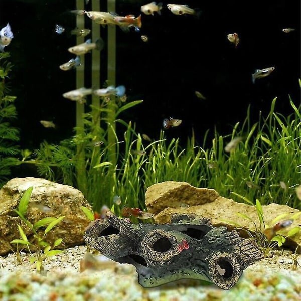 Trehull Gjemmested Hule Akvarium Reptil Habitat Landskapshuling
