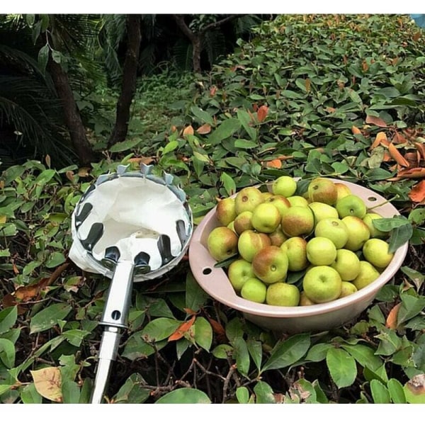 Silverfruktplockare utan metallteleskophandtag för Apple Pear Orange Handy Trädgårdsredskap Lätt och hållbart bärbart korgverktyg