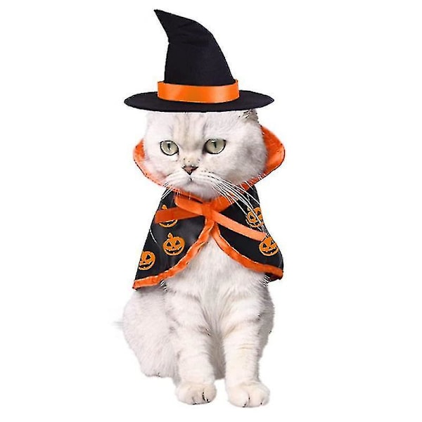 Halloween-kissan lemmikkitaikurin asu, lemmikkien asusteet