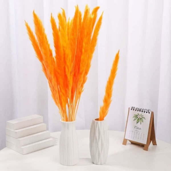 Bcc 15-pack torkade växter (55 cm) Naturliga blomtillbehör Buketter Dekoration för Boho Hem Sovrum Vardagsrum Badrum Objekt Moderna Bröllop 55 cm