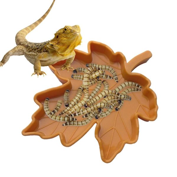 Reptilplastskål Liten Vattenfat Reptiler Mat Skål För Ödla Gecko(grön)