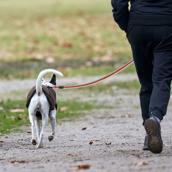 Hundkoppel 2m Heavy Duty Hundträningskoppel Halkfri för Medelstora till Stora Hundar för Husdjur Lydnadsträning Camping (Röd)