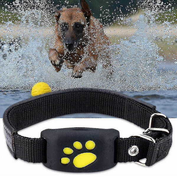 Vandtæt GPS-tracker til katte og hunde med mikrofon - Gratis app-tracker til enhver hund eller kat_costbuy
