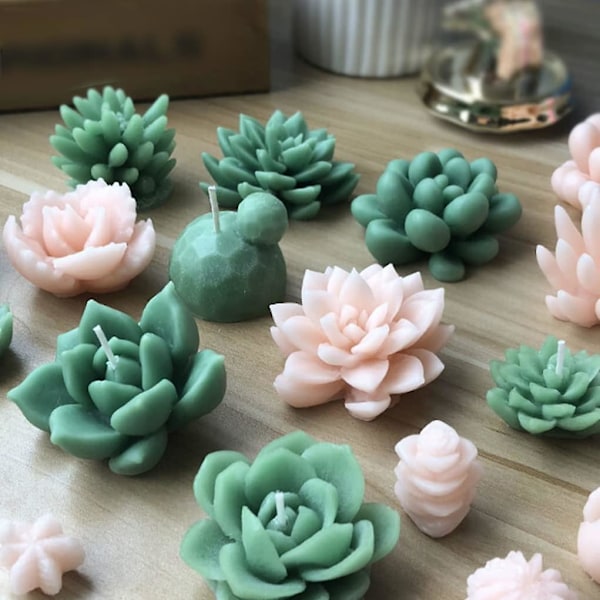 Kageform 3D Sukkulente Kaktuslys Håndlavede Forme DIY Planter Silikone Fondantform Til Kage Cupcake Dekoration Nr. 18 Køkkenværktøjsartikler