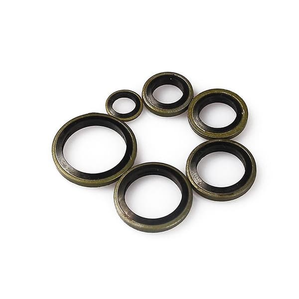 M6-m16 Mekanisk eftermonteringspackning Tätning Högtrycks packning Hög temperatur Rörledning Ventil O-ring Packning 100 stycken