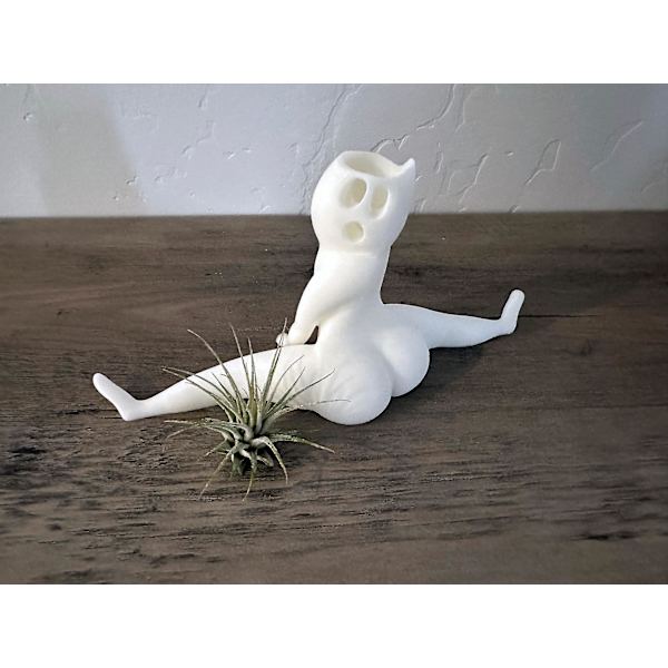 Sjov stor numse spøgelse potteplanter rædsler i dette hus latterlige luftplante display & gag gave med levende luftplante Tillandsia Jst（spøgelse blomsterpotte）