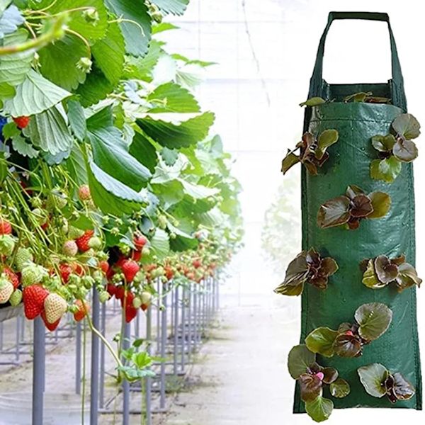 2-pack väggmonterade växtpåsar Tomat/Jordgubbe/Potatis/Chili Blomsterplanteringspåse Växtpåsar Odlingspott Kruka
