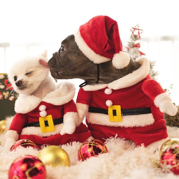 Fashion Hund Kläder Röd Hatt Vinterkläder Söta Katter Jul Foto Props