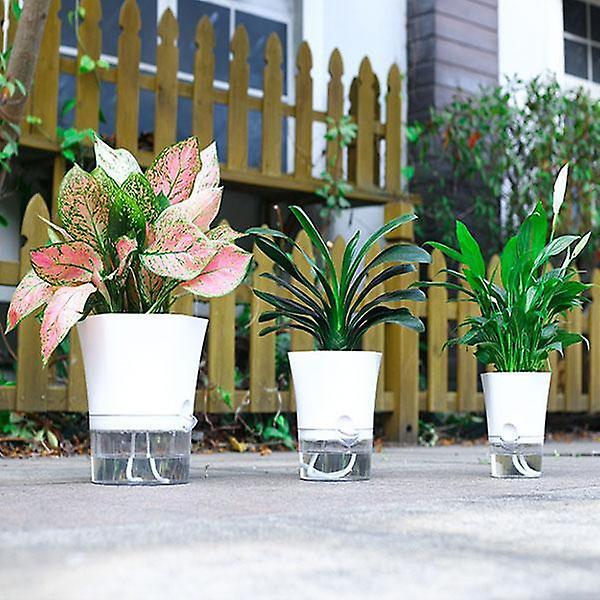 Självbevattnande blomkruka, självbevattnande transparent botten Medium