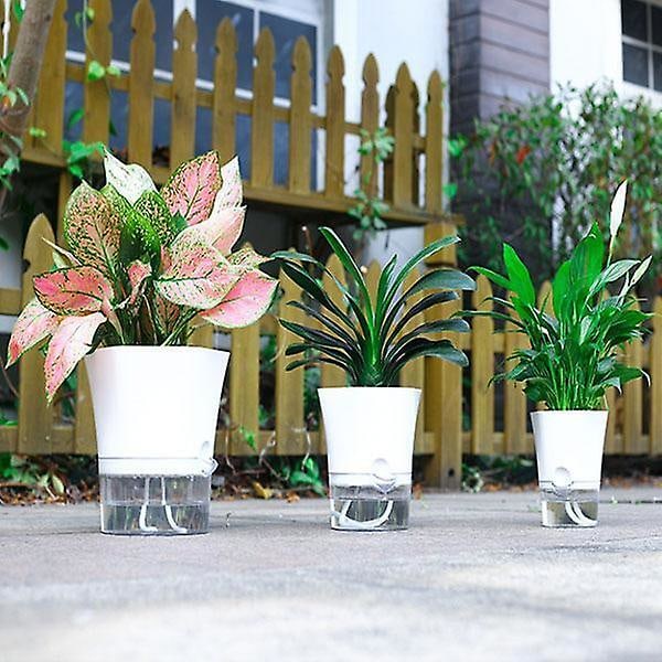 Självbevattnande blomkruka, självbevattnande transparent botten Små