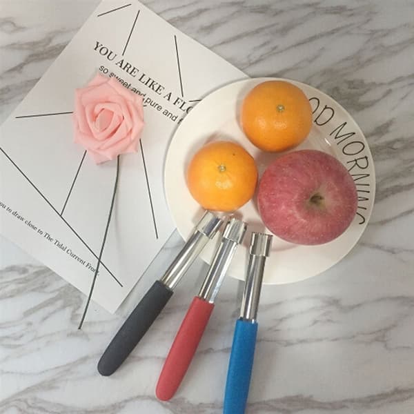 1 st Apple Corer i rostfritt stål Köksredskap