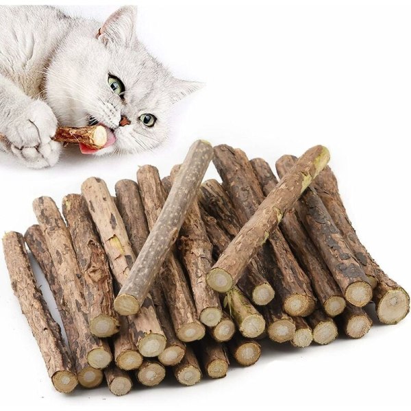 30 Matatabi Natural Catnip Sticks för tandbehandling