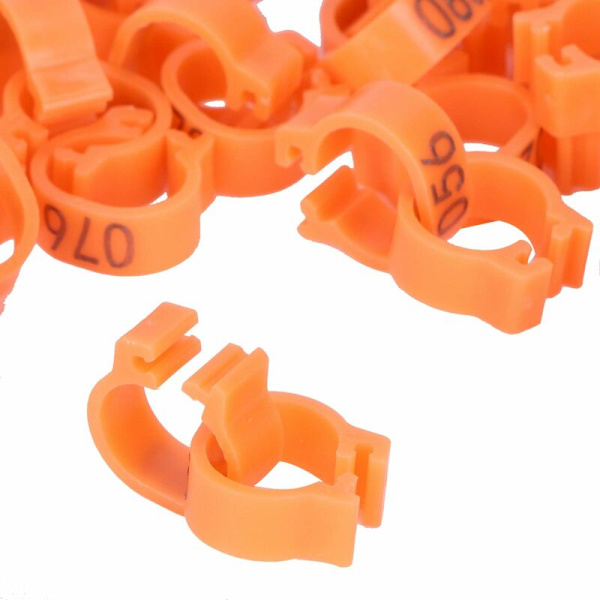 100 st fågelfotringar nummeridentifiering duva benband fjäderfäklämma ringorange
