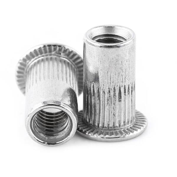 M3-M8 Pan Head gängad blindnitmutter insatsmutter insatsskruv rostfritt stål (M6)