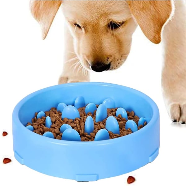 Langsomt foderskål til hunde, langsomt foderskål med skridsikkert design, sjovt interaktivt foder til katte og hunde, blå