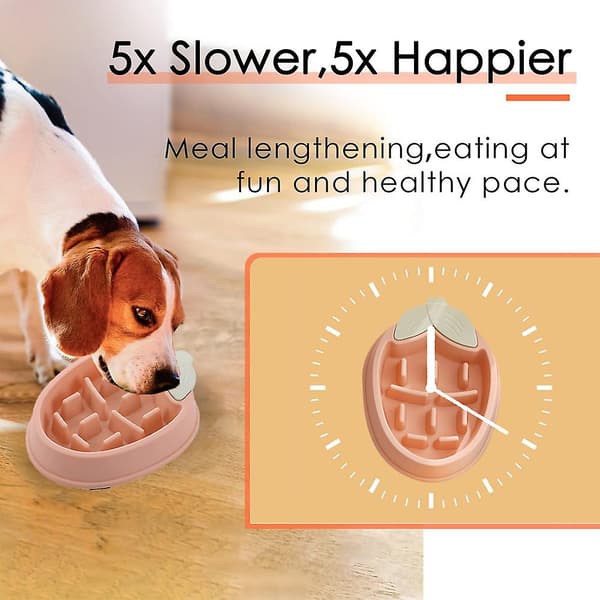 Hund Katt Slow Feeder Skål Valp Slow Feeder Skål för Torrfoder Råfoder Halkskyddad Slow Feeder（rosa）