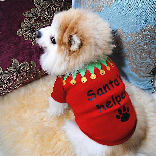 Kläder för hundar Jul kläder klassisk bomull t-shirt Teddy Bear Beauty(S)röd