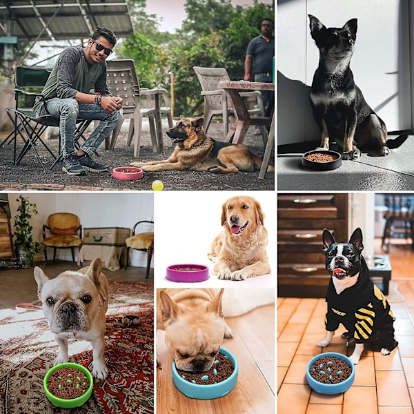 Langsomt foderskål til hunde, langsomt foderskål med skridsikkert design, sjovt interaktivt foder til katte og hunde, blå