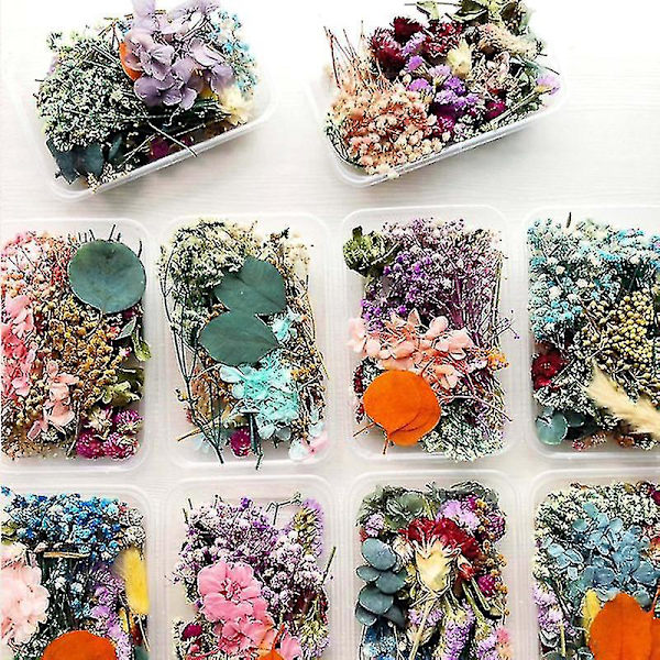 Torkade blommor paket blandade eviga blommor och bladverk för DIY aromaterapi ljus gratulationskort