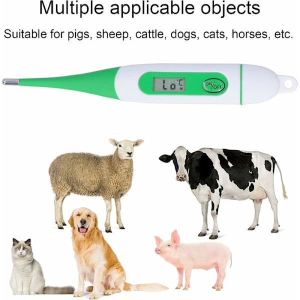 Elektronisk veterinärtermometer för djur, digital termometer för husdjur, får, häst, gårdsdjur, hund, häst, katt