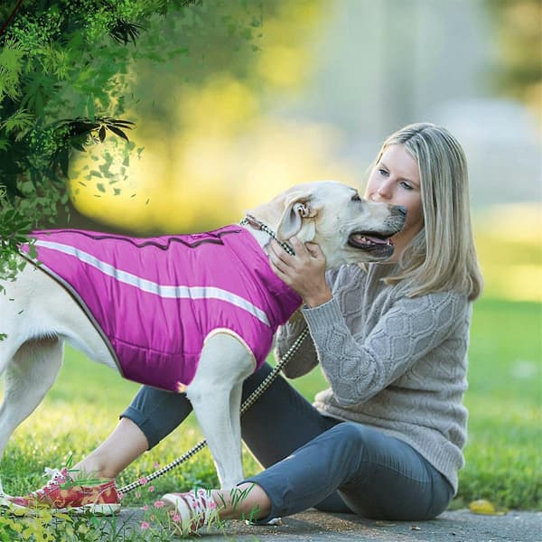 Nya hundkläder Varma höst vinter hundkläder Reflex hundkläder