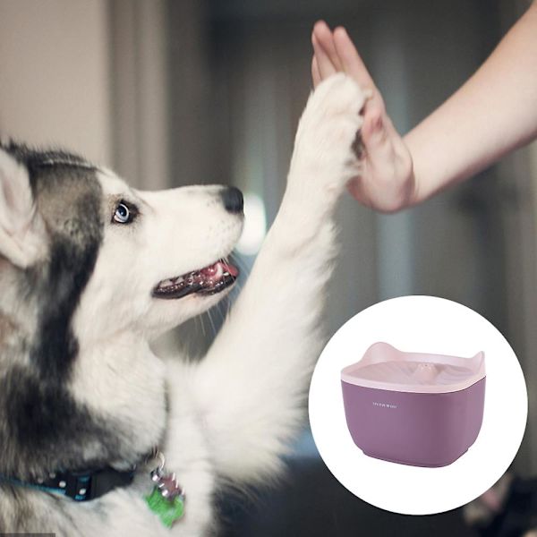 Kattvattendispenser Flöde Tyst Intelligent Vattenmatare Automatisk CykelLila