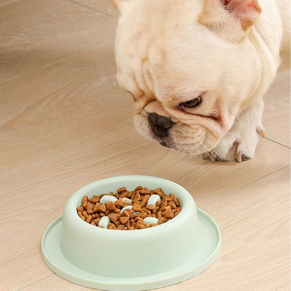 Hundskål Kattskål Pet Slow Food Bowl Plast Förtjockning Anti-kvävning Katt Hund Slow Food Bowlgreen