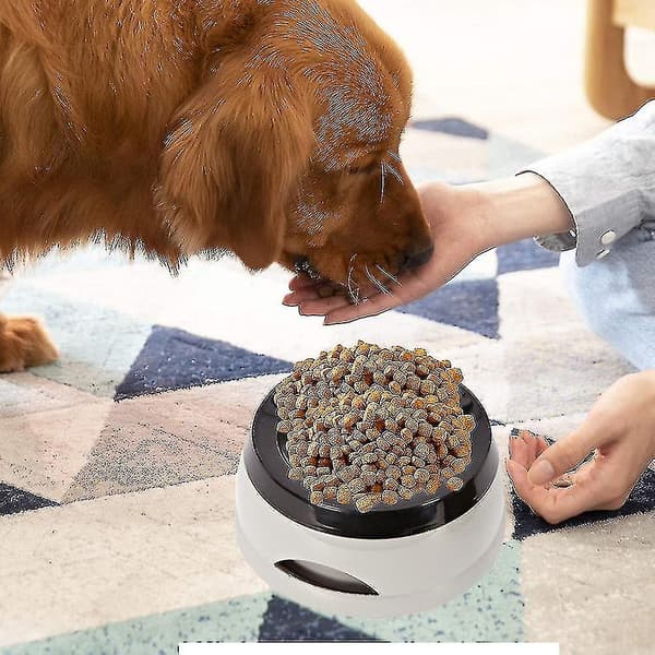 Hunde Vandskål Til Hjem Og Rejser
